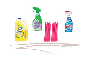 HOUSEHOLD CLEANING ESSENTIALS
